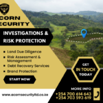 INVESTIGATION SERVICES